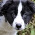 Jane Ashall (@ashall_jane) Twitter profile photo Jane Ashall (@ashall_jane) Twitter profile photo