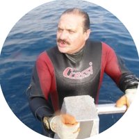 Jordi Carreras Doll (@jcdollpro) 's Twitter Profile