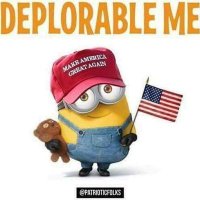 proud deplorable(@Mpp9278) 's Twitter Profile Photo