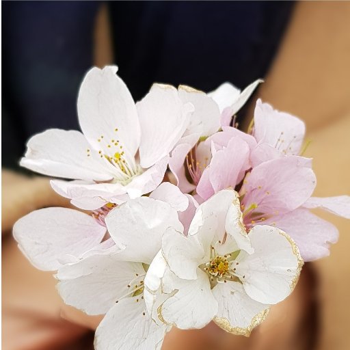 kimmatdol01's profile picture. 