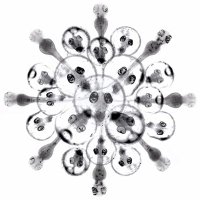 Thomas Thumberger (@_thomthum_) 's Twitter Profile Photo Thomas Thumberger (@_thomthum_) 's Twitter Profile Photo