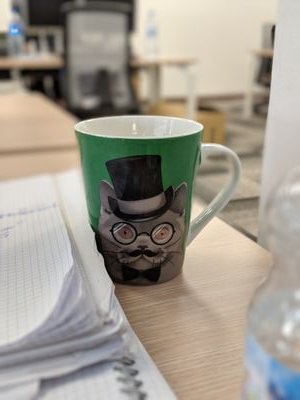 Uberbug1's profile picture. Je fais l’ambiance, la rigolade, je peux faire le lavage, le repassage, la cuisine, les calembours, des blagues, des rébus, des devinettes, des charades...