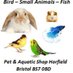 Everyday Pet And Aquatic (@petandaquatic) Twitter profile photo Everyday Pet And Aquatic (@petandaquatic) Twitter profile photo
