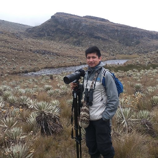 Pajarero y fotógrafo aficionado, comparto mis fotos de naturaleza, especialmente de Colombia, pero en ocasiones de otros lados.