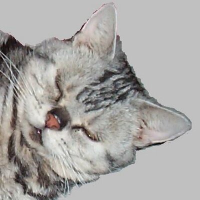 toshibuta's profile image
