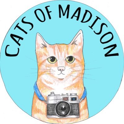 Cats of Madison