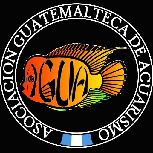 AGUA502's profile picture. Una asociación sin fines de lucro, constituida para que el Acuarismo en Guatemala se desarrolle con responsabilidad.