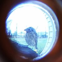 Julian Marshall (@julesmm2001) 's Twitter Profile