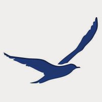 SARIYER (@sariyerposta2) Twitter profile photo