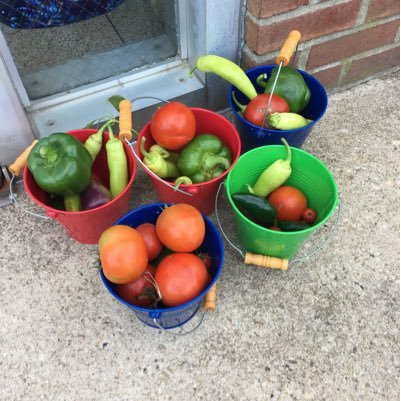 md_snapED's profile picture. University of Maryland Extension, Maryland's Snap-Ed Program. Dorchester and Talbot County