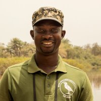 Ebrima Sidibeh (@gambianbirder) 's Twitter Profile Photo Ebrima Sidibeh (@gambianbirder) 's Twitter Profile Photo
