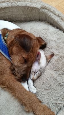 gill_fremantle's profile picture. 