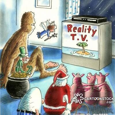 reality tv expert