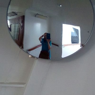 elisescher01's profile picture. MBA=business info systems; clear CA SPED teaching credential; cashier at market; quit apprenticing in sound and comm with local 332 of IBEW; https://t.co/O2DjCsV6ig