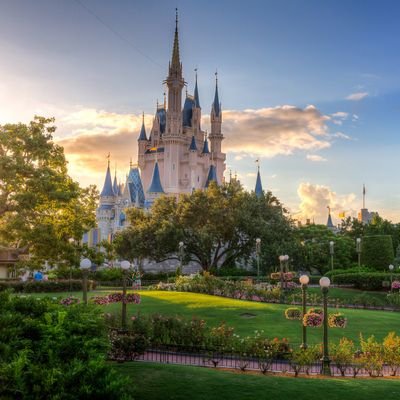 icklecharlie84's profile picture. 