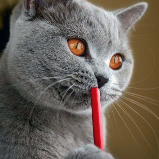 HD_Oficial_Tra's profile picture. Free ebooks👍