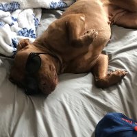 VinChEnZ (@vinchenzbk) 's Twitter Profile