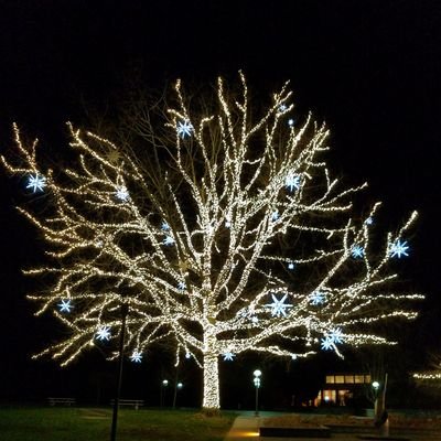 Kornborn88's profile picture. Adapt what is useful, reject what is useless, and add what is specifically your own.