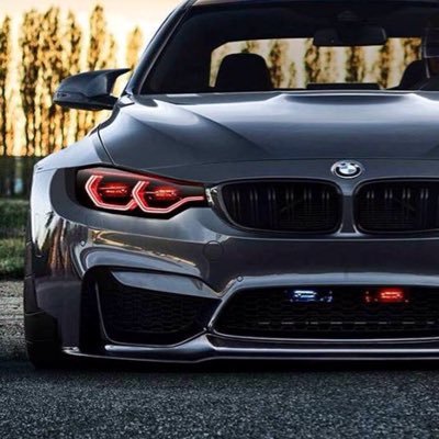 William01138033's profile picture. 