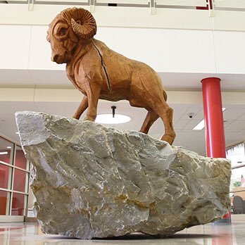 Proudly representing the esteemed Harriton Rams. Stay tuned for updates, daily announcements, and other important info. Email: officers@harriton.org