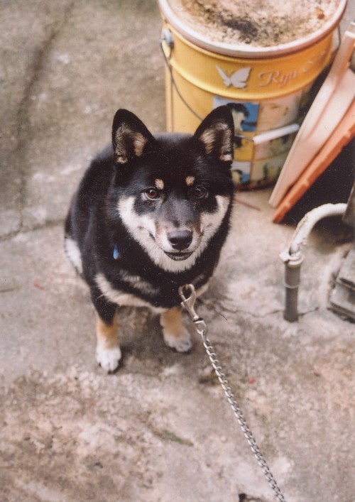 nakachika1006's profile picture. エイトが好きで漫画が好きで食べること大好き。ぼちぼちつぶやきたいなぁ〜