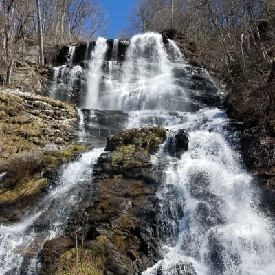 Scout, Simon & Duncan's human; Golf enthusiast, former DIII golfer & coach; MC Alum, enjoying exploring and living a great life with my husband & dogs in GA