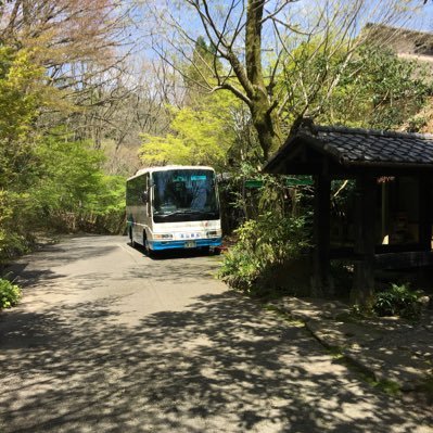m5DQf58yE7uG6fC's profile picture. 観光バスドライバー