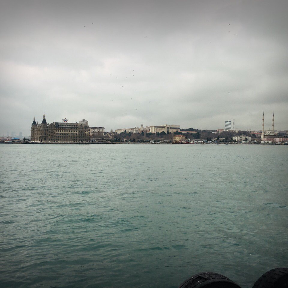 letstalkagain1's profile picture. share your struggle!