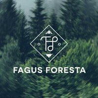 Fagus Foresta (@fagusforesta) 's Twitter Profile