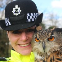Chief Inspector CMPG (@cmpgdep) 's Twitter Profile