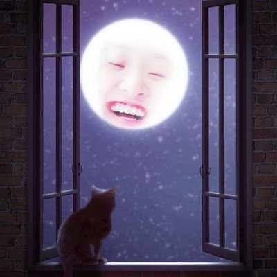 ninchyan's profile picture. be a 「 」girl.