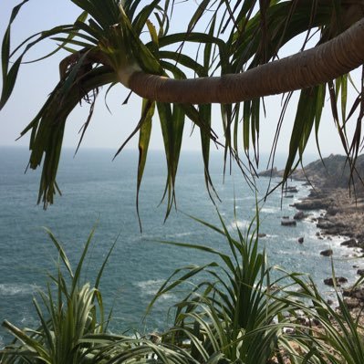 annalee49_lee's profile picture. Professional supplier of high quality vaporizers for herb, wax and cbd oil