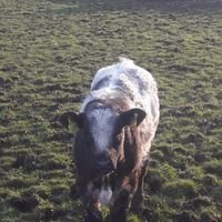 Eddie McCormack (@mccormack_eddie) 's Twitter Profile Photo Eddie McCormack (@mccormack_eddie) 's Twitter Profile Photo
