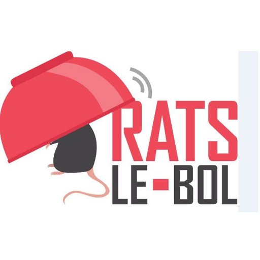 Collectif de citoyens réunis pour lutter contre la prolifération des rats à Paris