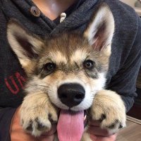 day206 (@day206s16) 's Twitter Profile
