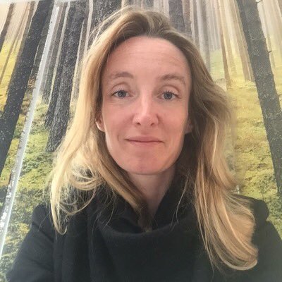 mrssoph's profile picture. 