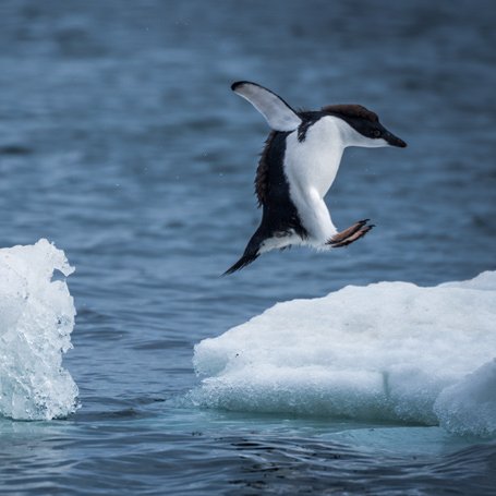 mahmonir11's profile picture. 