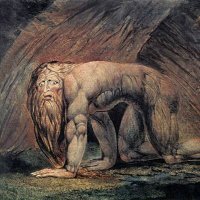 こややし（人民）🖖 (@kova41) 's Twitter Profile Photo