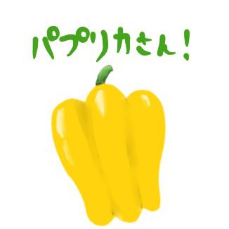 パプリカ🌐🎮さんのプロフィール画像