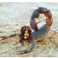 بدر (@5raqwranjrknfi7) 's Twitter Profile