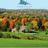 LowvilleGolf's profile image