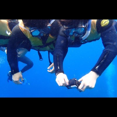 umeume0528's profile picture. 