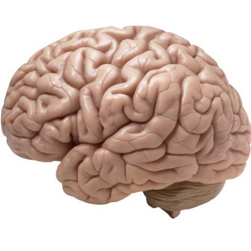 Professor, Department of Psychological & Brain Sciences, University of Iowa. Tweets/opinions my own.