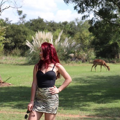 red_desneiges's profile picture. 