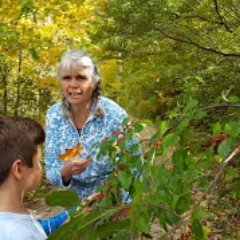 Ecology Education and Action
Actively working to create a world that nurtures healthy, regenerative earth, water, and air for all inhabitants.