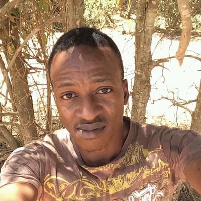 DavidLaLaMuse1's profile picture. I love gadgets,  technology, football and literature. 
Real Estates Dealer