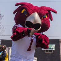 Hooter The Owl (@hooter_theowl) 's Twitter Profile