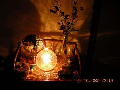 luvache's profile picture. ncis . 샴고양이 . 비 오는 소리 . 블랙커피