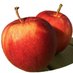 Coppell ISD Child Nutrition (@cisdnutrition) Twitter profile photo Coppell ISD Child Nutrition (@cisdnutrition) Twitter profile photo