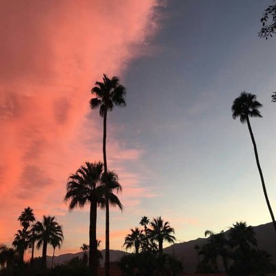 mttjyr's profile picture. no